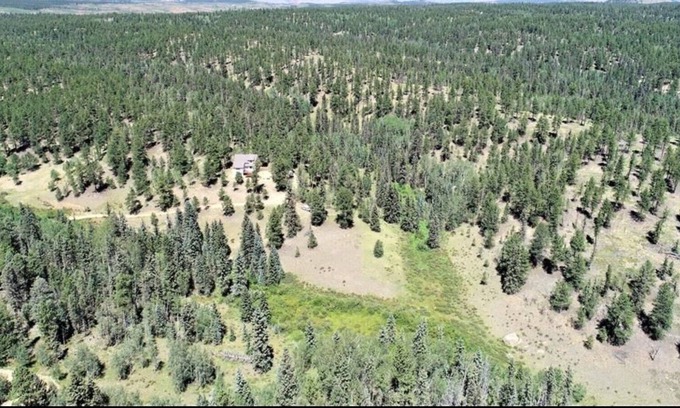 Divide Cottage | Secluded National Forest Home with Hot tub & Game Room