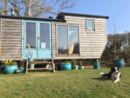 Ashburton House | Secluded Shepherds Hut, with a view and hot tub