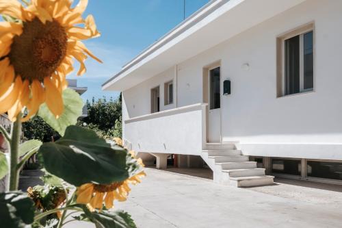 Municipio 5 Apartment | See you Bari