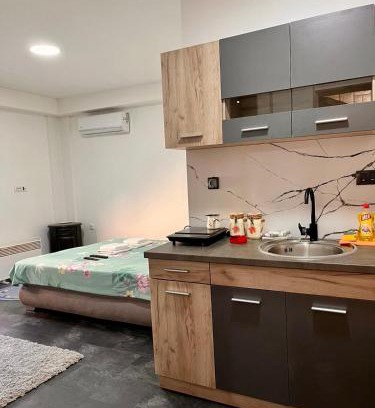 Kragujevac Apartment | Selena