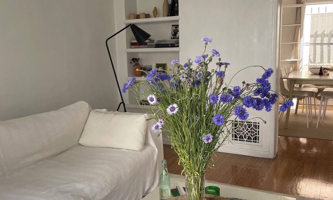 Mid-Wilshire Apartment | Serene 1-bedroom apartment in the heart of Los Angeles