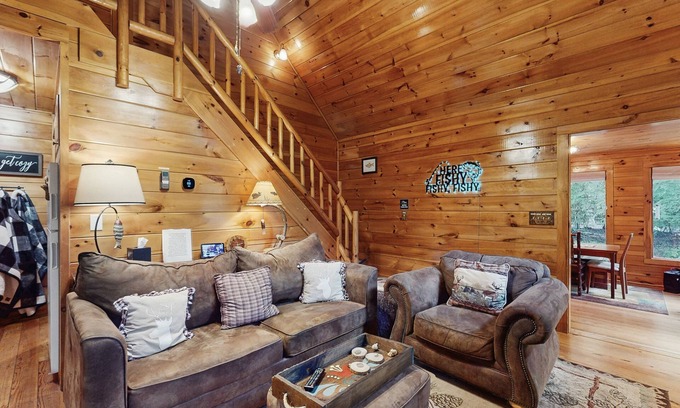 Mineral Bluff Cabin | Serene dog-friendly cabin w/hot tub under the stars & waterview
