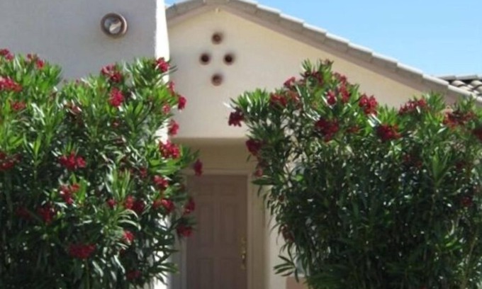Rio Rico House | Serenity in Sunny Arizona with tons of birds and shade trees! Bike Trail Galore