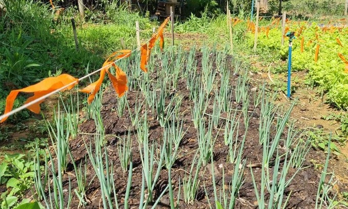 Paraopeba Resort | Sertão Veredas Hotel Fazenda