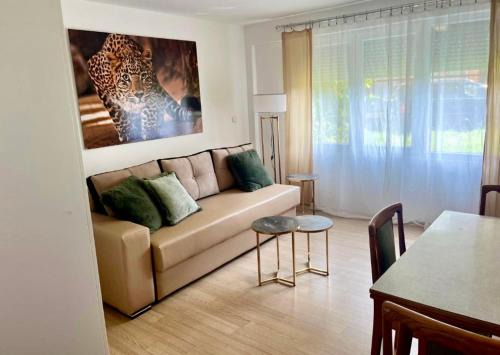 Struga Apartment | Sesa Appartment