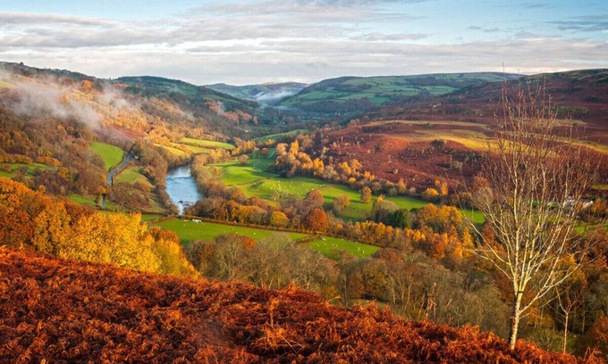 Builth Wells Apartment | Sgrech y coed - Jay