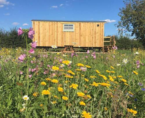 Bedfield House | Shepherds Hut 7