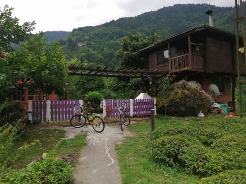 Ayder Apartment | Shevi-Han