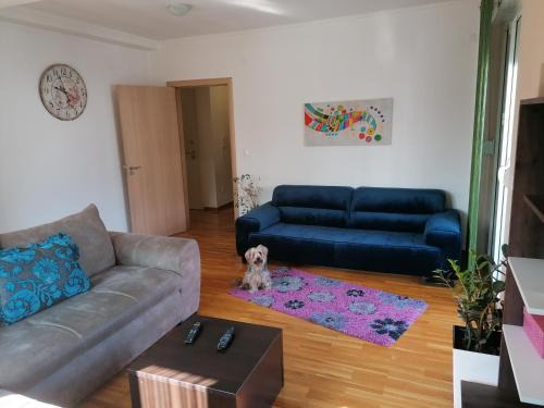 Vozdovac Apartment | Shumice Apartment