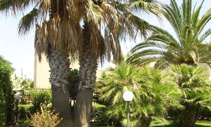 Santa Maria del Focallo Villa | Sicily, Spacious villa by the sea with garden in Santa Maria del Focallo, Ispica