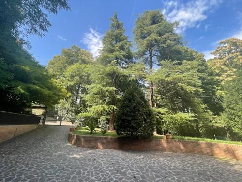 Santo Stefano Bed & Breakfast | SIEPELUNGA B&B