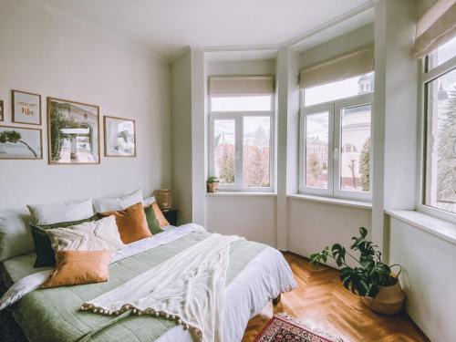 Chernovtsy Apartment | simsimdoba