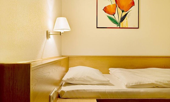 Umkirch Apartment | Single room with toilet and shower - Hotel Heuboden