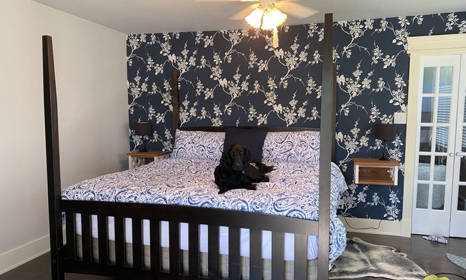 Stoney Creek Bed & Breakfast | Sit & Stay bed and breakfast Where dogs bring their people