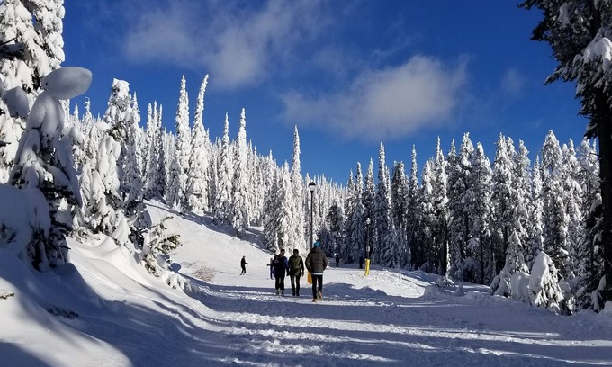 Big White Ski Resort Condo | 🎿 Ski-In/Ski-Out | 2Bed/2Bath Condo | 🚶♂️ Walk to Village