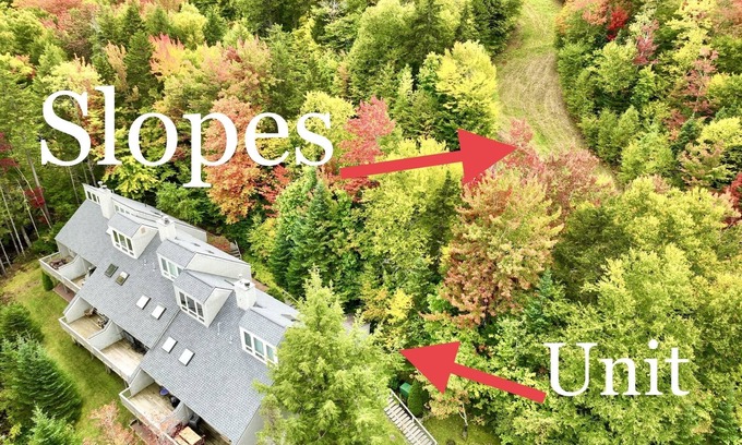 Bretton Woods Condo | SKI IN - SKI OUT- 5 Bedrooms - 1 gig wifi, Mountain View’s