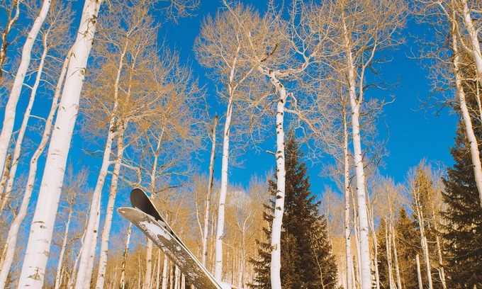 North Conway Resort | Skier's dream price drop 1 mile to Cranmore. Heated pool/Jacuzzi minutes away