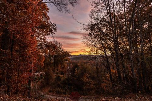 Bryson City House | Sky High Cabin in Bryson City