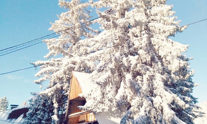 Jahorina Apartment | Sky Max Jahorina - One Bedroom Apartment with Altitude Loft