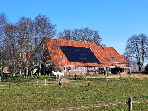 Anderen Bed & Breakfast | Slaopen en Stoet
