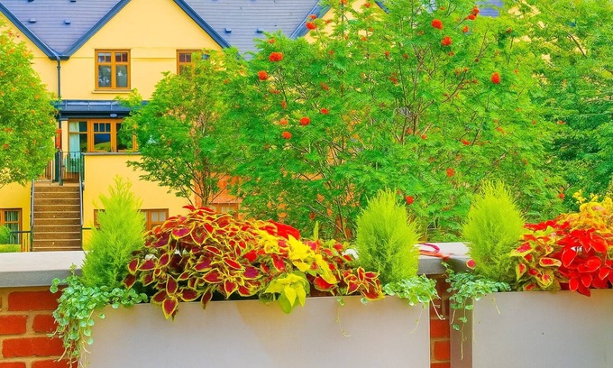 Castleknock Apartment | Slavia !