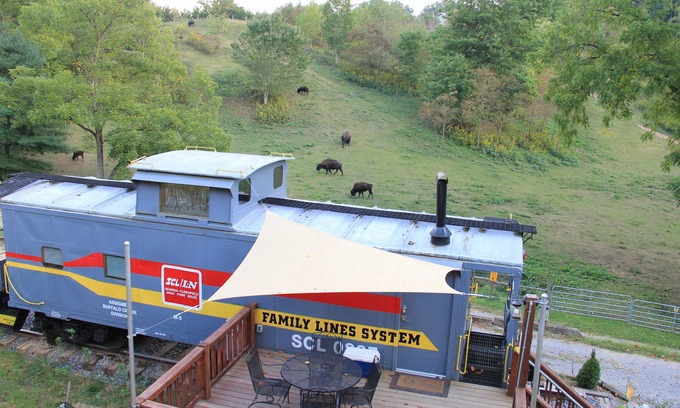 Clyde Cabin | Sleep in a caboose on a 65 acre buffalo ranch!