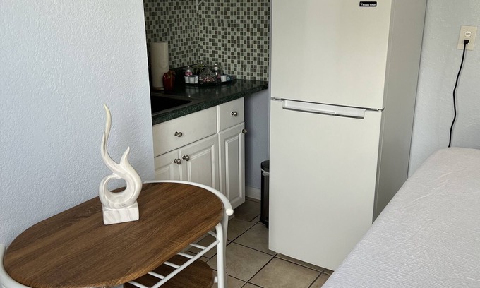 Tampa Apartment | Small But Pleasant Studio