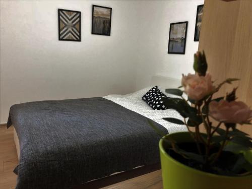 Zvezdara Apartment | Small & Sweet Apartments