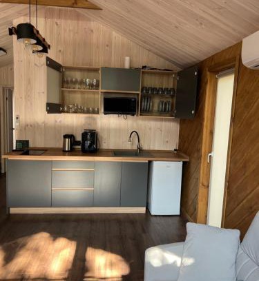 Kyiv Oblast House | Snoviya House