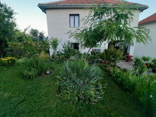 Soko Banja House | Sobe Ozrenka