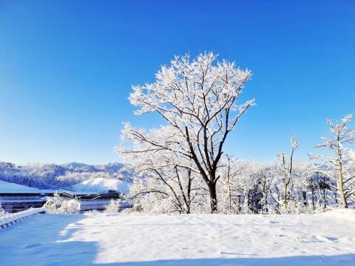Sokcho House | Sokcho Ulsanbawi Bed and Breakfast