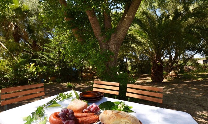 Sineu Villa | Son Palanca with Private Pool & Garden