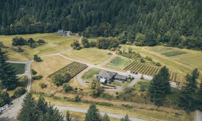 Yacolt House | Spacious 4-Bedroom Farmstay at Pomeroy Cellars