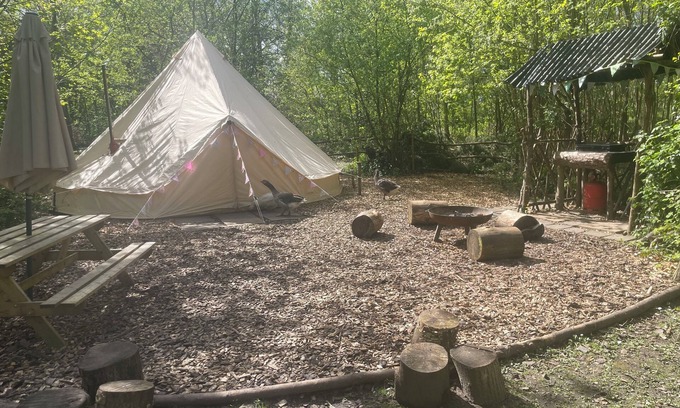 Plastow Green RV Rental | Spacious and cosy 6 meter themed Jungle Bell Tent