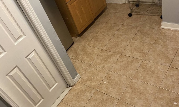 Baychester House | Spacious Basement Apartment sleeps 3 people