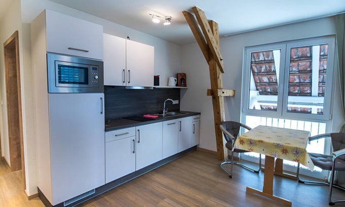 Immenstaad am Bodensee Apartment | Spacious 2-room apartment directly on the lake with private lake access and lake property