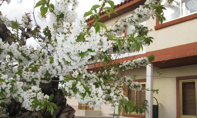 Cuenca House | Spacious house in the center of Cuenca capital, with small garden, up to 6 adults
