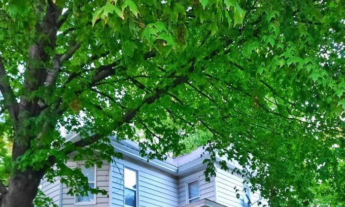 Palmyra House | Spacious remodeled Victorian home, close to downtown Palmyra!