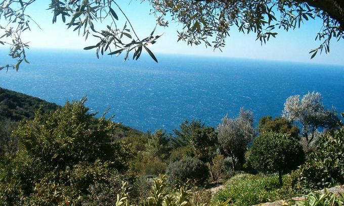 Marina di Pisciotta Apartment | Spacious room with independent access