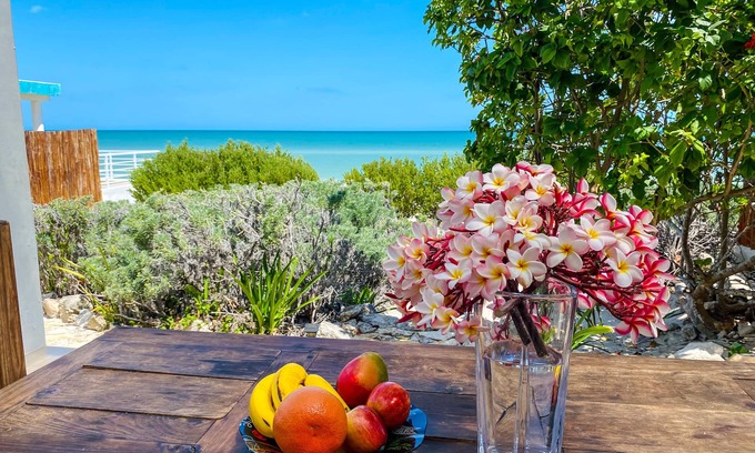 Chuburna Puerto House | Spectacular beach house with pool