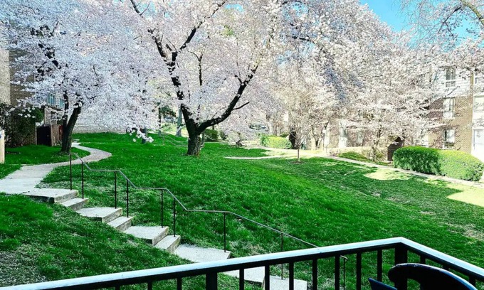 Aspen Hill Condo | Splendid 2bed 2bath condo in Silver Spring with free Parking laundry and AC WiFi