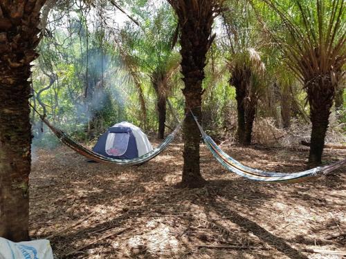 Nhecolandia Other | Spot Jaguar Pantanal South Camping Wild Jaguar Tour