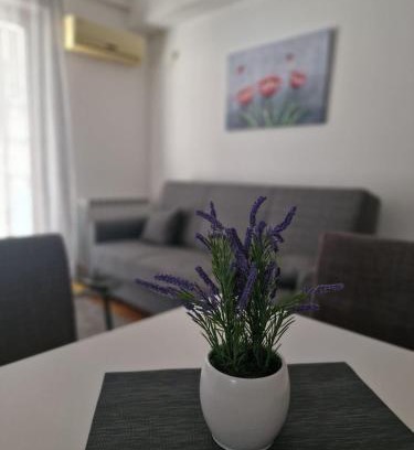 Inija Apartment | Stan Na Dan 022