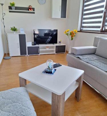 Canton 10 Apartment | Stan na dan Grahovo