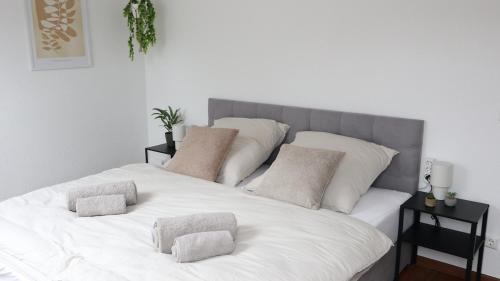 Villingen-Schwenningen Apartment | Stillvolles Apartment VS