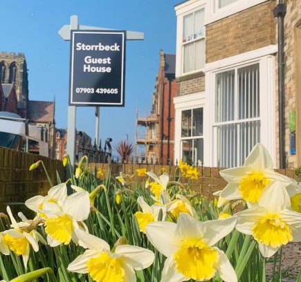 West Cliff House | Storrbeck Guest House