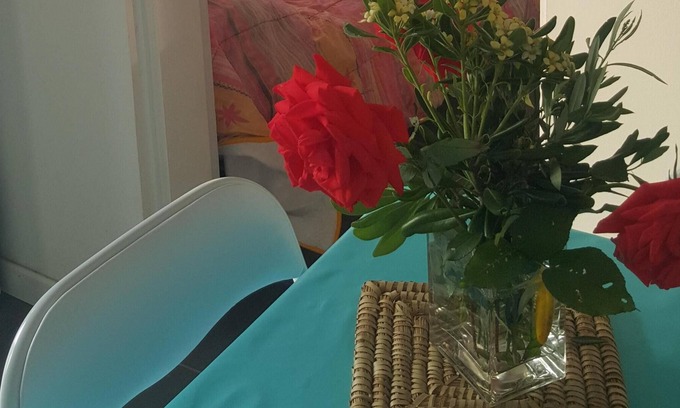 Saint-Cyprien Apartment | Studio 4 people with terrace near Collioure free wi-fi in St Cyprien