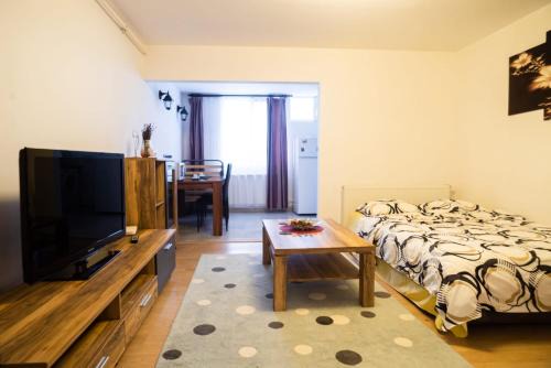 Hunedoara Apartment | Studio Central ”Dacul”