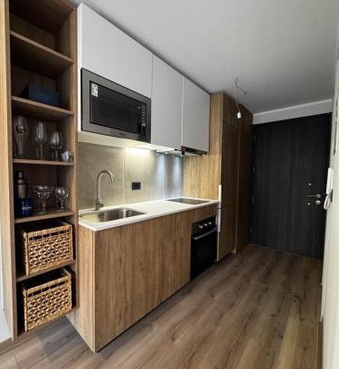 Downtown Santiago Apartment | Studio Lucia