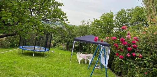 Soko Banja Apartment | Studio Milisavljevic